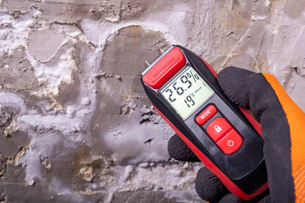 Best Mold Cleaning Services  in Talluh, LA